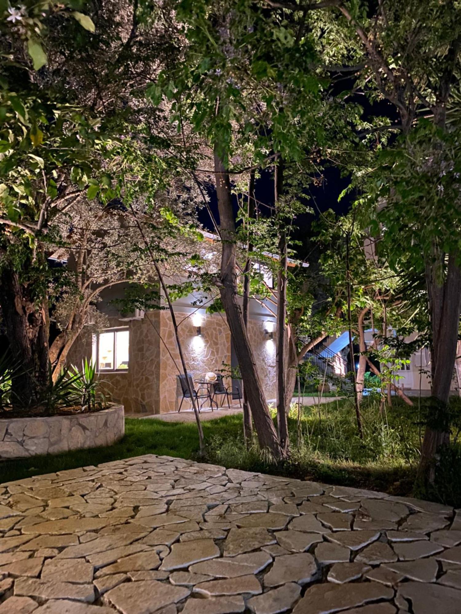 Olive Tree Apartments Lefkada City Phòng bức ảnh
