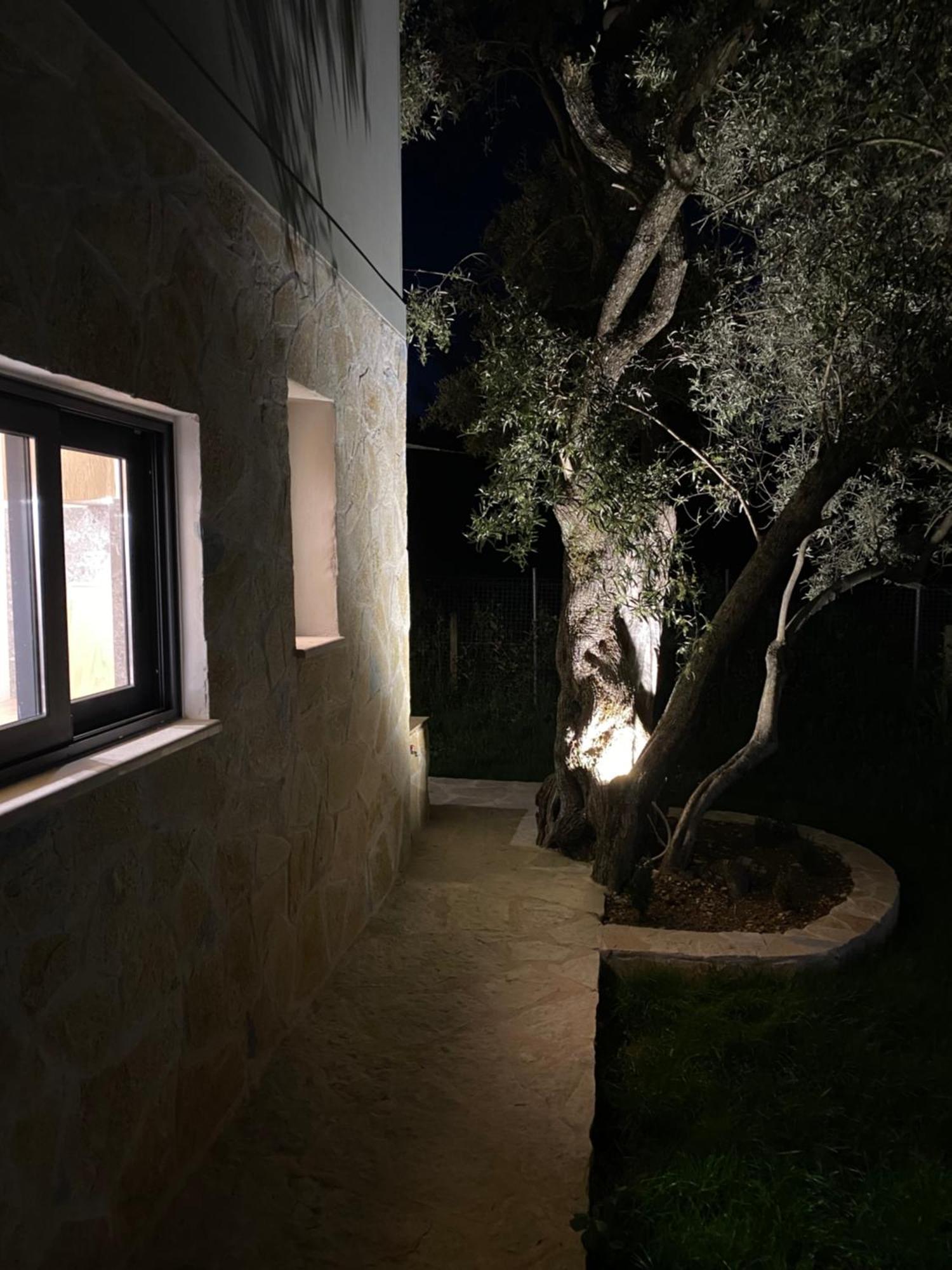 Olive Tree Apartments Lefkada City Ngoại thất bức ảnh